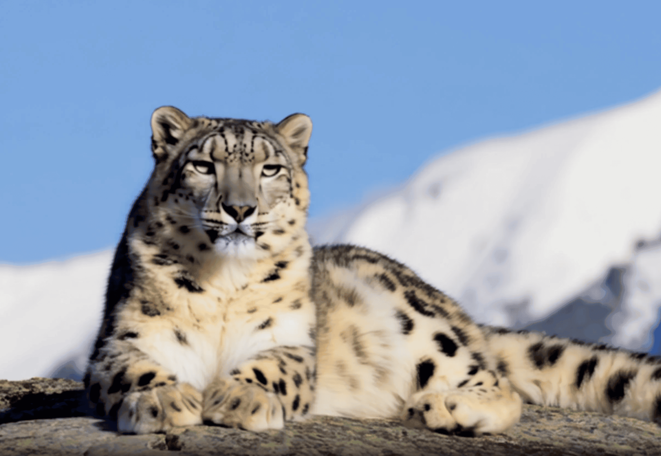 Ounce video before upscaling